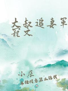 大叔追妻军婚甜宠文