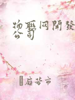 物联网开发软件公司