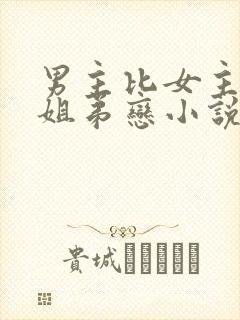 男主比女主小的姐弟恋小说