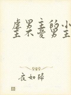 虐男主的小说女主不爱男主