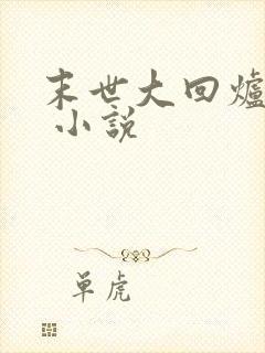 末世大回炉楚涵 小说