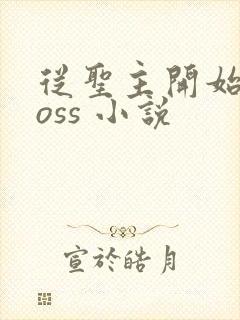 从圣主开始当boss 小说