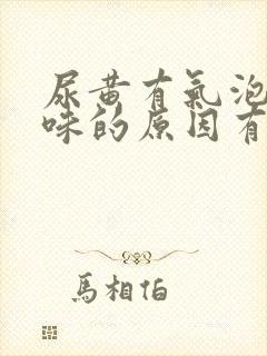 尿黄有气泡有异味的原因有哪些