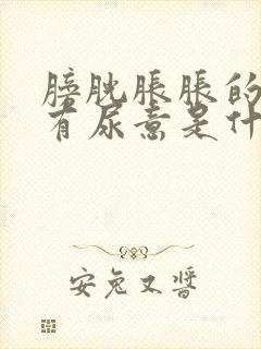 膀胱胀胀的老是有尿意是什么原因