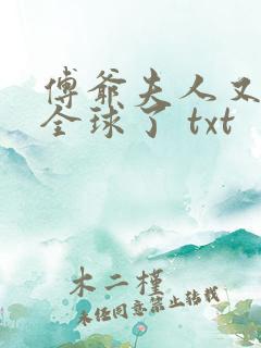 傅爷夫人又惊艳全球了 txt