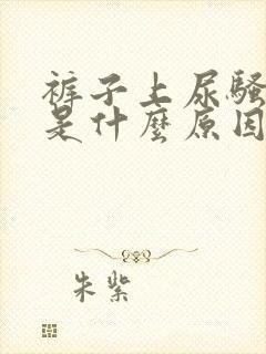 裤子上尿骚味重是什么原因