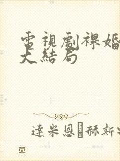 电视剧裸婚时代大结局