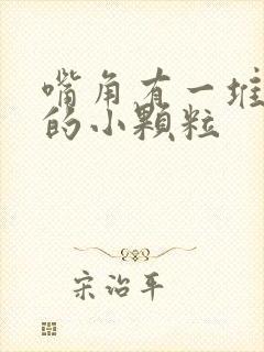 嘴角有一堆白色的小颗粒