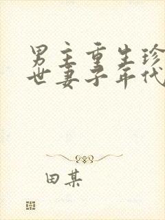 男主重生珍惜前世妻子年代文