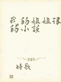 我的姐姐很弟控的小说