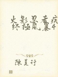 火影忍者疾风传 终极风暴4