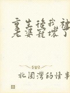 重生后我被影后老婆宠坏了