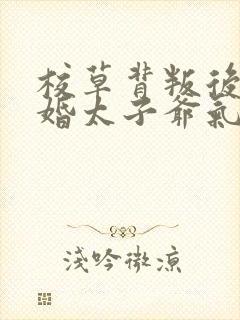 校草背叛后我闪婚太子爷气疯他苏念笙无删