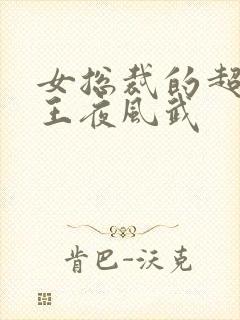 女总裁的超级兵王夜风武