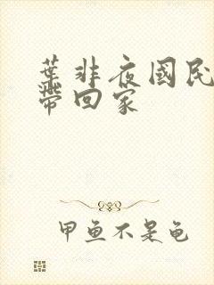 叶非夜国民老公带回家