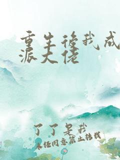 重生后我成了反派大佬