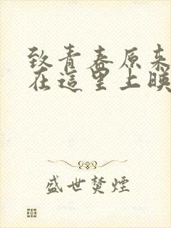 致青春原来你还在这里上映时间