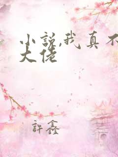 小说,我真不是大佬
