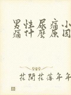 男性尿痛小便刺痛什么原因引起的