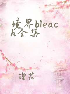 境界bleach全集