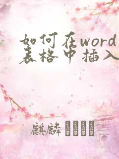如何在word表格中插入pdf文件