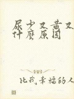 尿少又黄又臭是什么原因