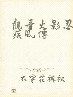 观看火影忍者 疾风传