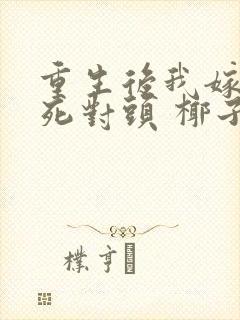 重生后我嫁给了死对头 椰子絮