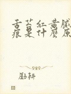 舌苔红黄腻有齿痕是什么原因