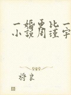 一婚更比一婚高小说周瑾宇全文免费