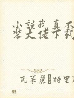 小说我真不是女装大佬下载