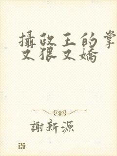 摄政王的掌心宠又狠又娇