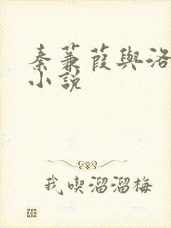 秦蒹葭与洛青舟小说