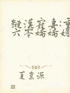 糙汉宠妻:重生六零娇娇媳小说