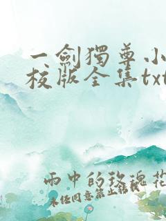 一剑独尊小说精校版全集txt