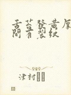 舌苔发黄厚腻中间有裂纹