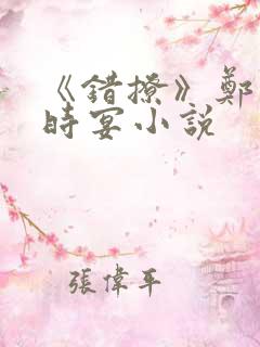 《错撩》郑书意时宴小说