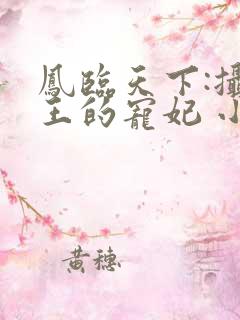 凤临天下:摄政王的宠妃 小说