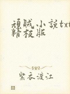 顽贼小说txt精校版