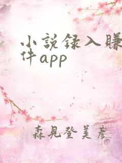 小说录入赚钱软件app