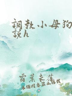 调教小母狗类小说h
