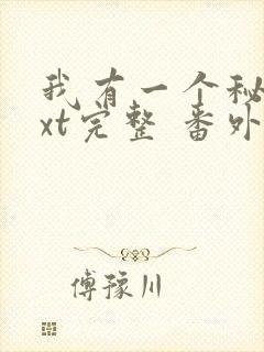 我有一个秘密txt完整 番外