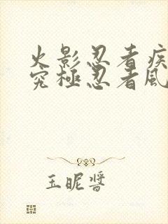 火影忍者疾风传究极忍者风暴3