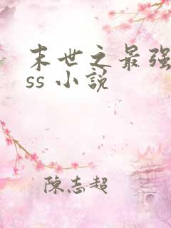 末世之最强boss 小说