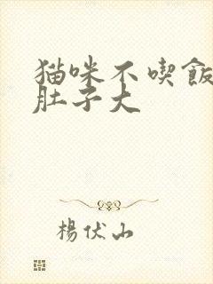 猫咪不吃饭尿黄肚子大