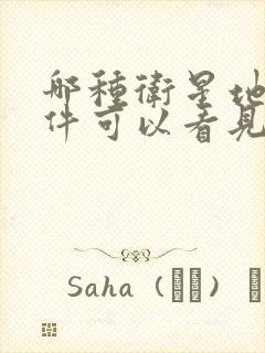 哪种卫星地图软件可以看见实物