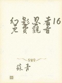 幻影忍者16季免费观看