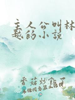 主人公叫林枫穿越的小说