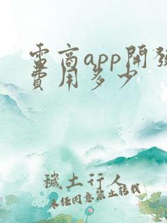 电商app开发费用多少