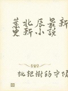 叶北辰最新章节更新小说